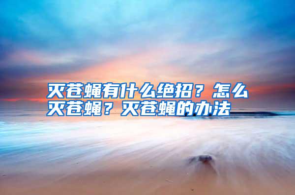 滅蒼蠅有什么絕招？怎么滅蒼蠅？滅蒼蠅的辦法