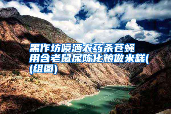 黑作坊噴灑農藥殺蒼蠅 用含老鼠屎陳化糧做米糕((組圖)