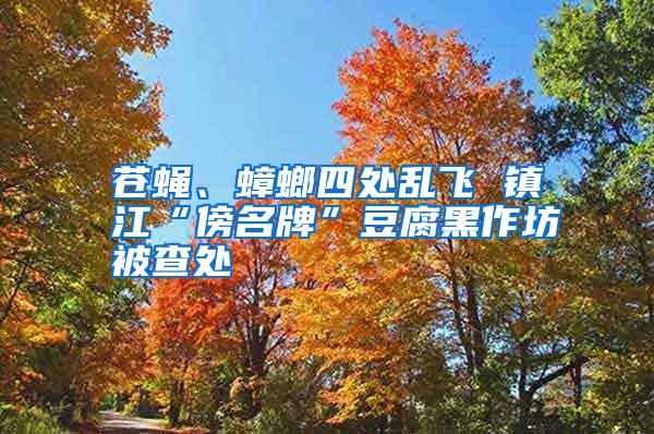 蒼蠅、蟑螂四處亂飛 鎮江“傍名牌”豆腐黑作坊被查處