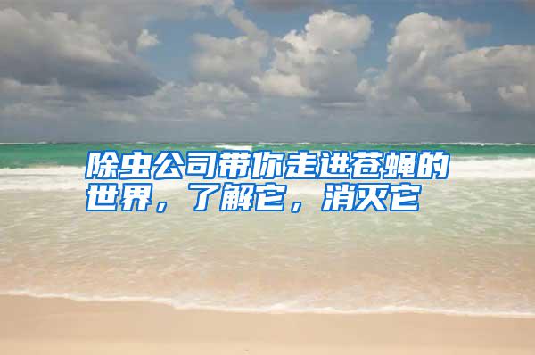 除蟲公司帶你走進(jìn)蒼蠅的世界,了解它,消滅它