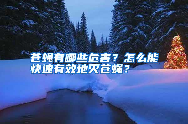 蒼蠅有哪些危害？怎么能快速有效地滅蒼蠅？