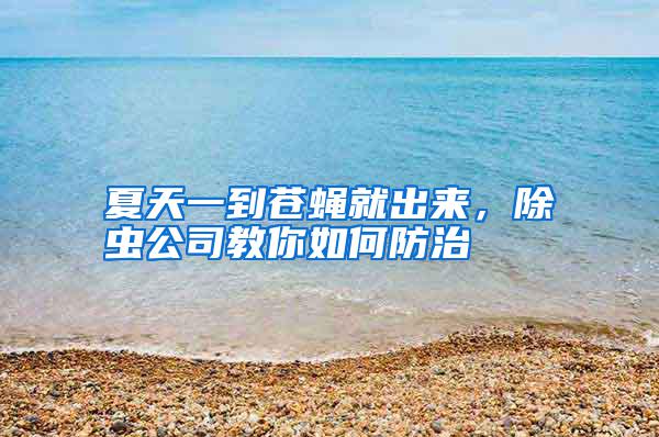 夏天一到蒼蠅就出來，除蟲公司教你如何防治