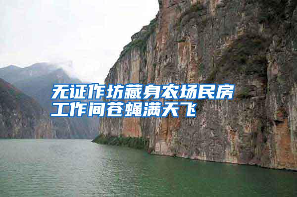 無(wú)證作坊藏身農(nóng)場(chǎng)民房 工作間蒼蠅滿天飛