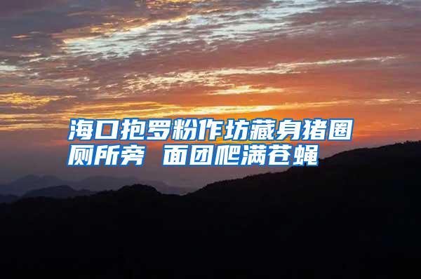 海口抱羅粉作坊藏身豬圈廁所旁 面團(tuán)爬滿蒼蠅