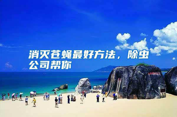 消滅蒼蠅最好方法,除蟲公司幫你