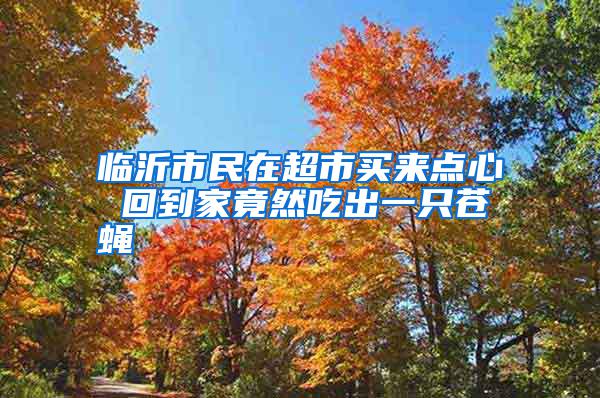 臨沂市民在超市買(mǎi)來(lái)點(diǎn)心 回到家竟然吃出一只蒼蠅