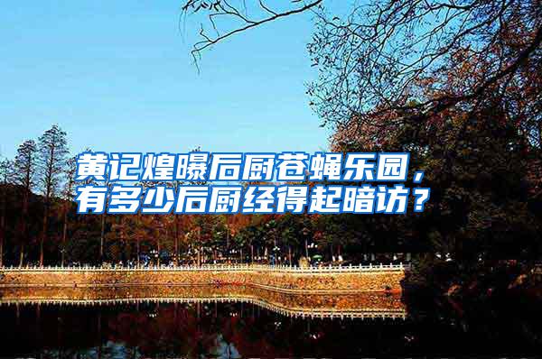 黃記煌曝后廚蒼蠅樂園， 有多少后廚經得起暗訪？