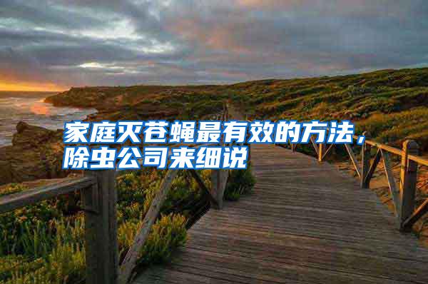 家庭滅蒼蠅最有效的方法,除蟲公司來細說
