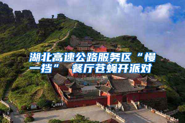 湖北高速公路服務區“慢一擋” 餐廳蒼蠅開派對