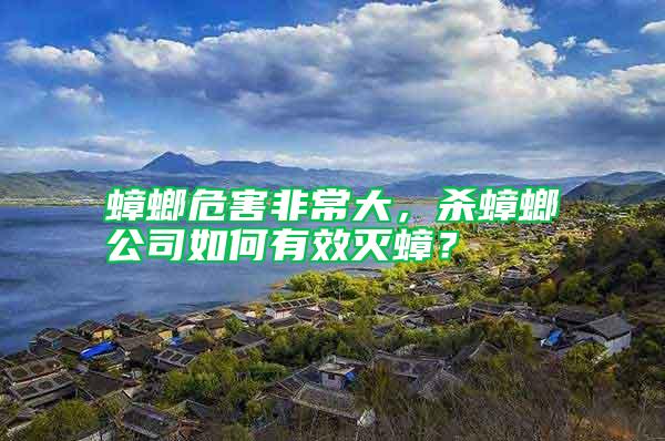 蟑螂危害非常大，殺蟑螂公司如何有效滅蟑？