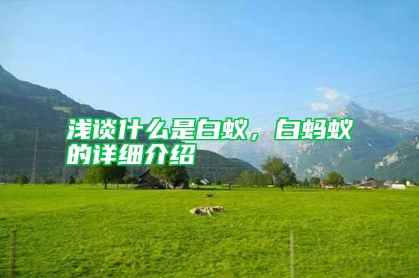 淺談什么是白蟻,白螞蟻的詳細(xì)介紹