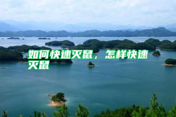 如何快速滅鼠，怎樣快速滅鼠