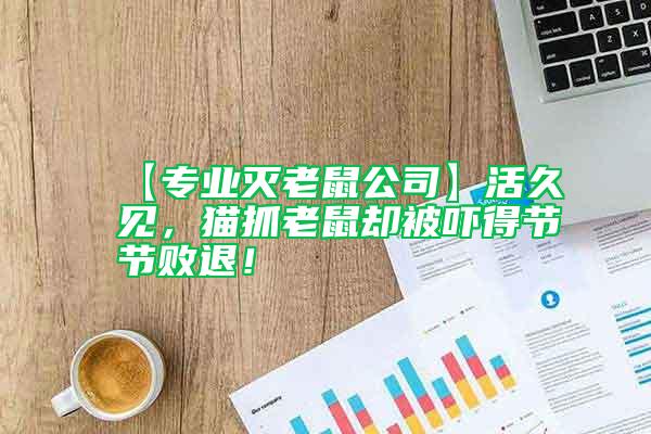 【專業滅老鼠公司】活久見，貓抓老鼠卻被嚇得節節敗退！
