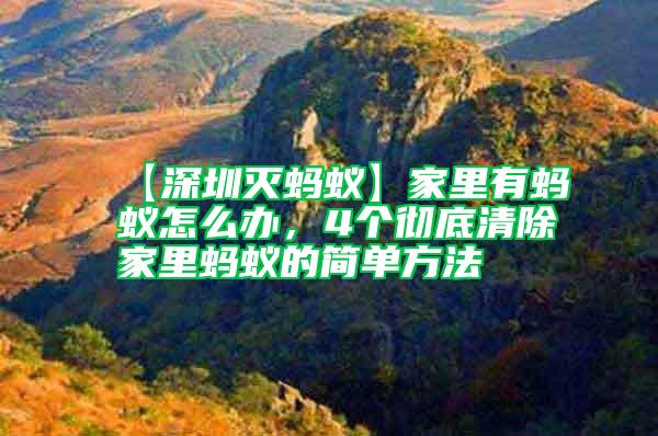 【深圳滅螞蟻】家里有螞蟻怎么辦,4個徹底清除家里螞蟻的簡單方法