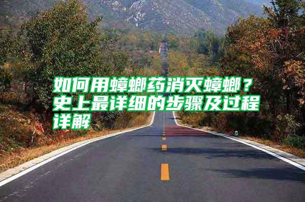 如何用蟑螂藥消滅蟑螂？史上最詳細的步驟及過程詳解