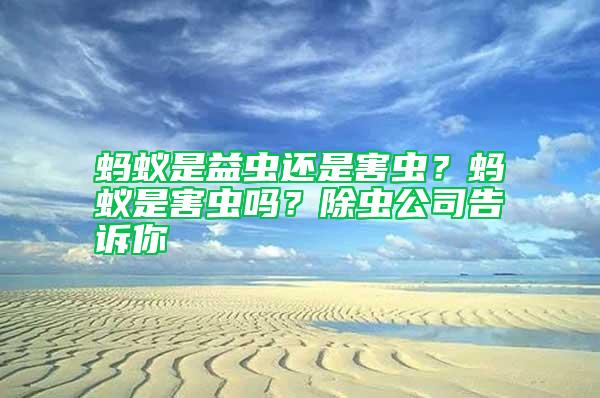 螞蟻是益蟲還是害蟲?螞蟻是害蟲嗎?除蟲公司告訴你