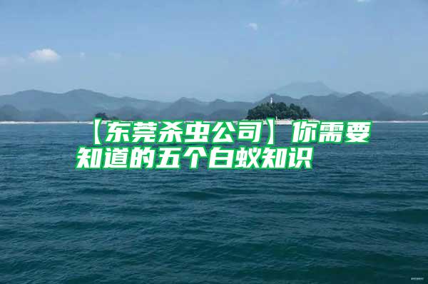 【東莞殺蟲公司】你需要知道的五個白蟻知識
