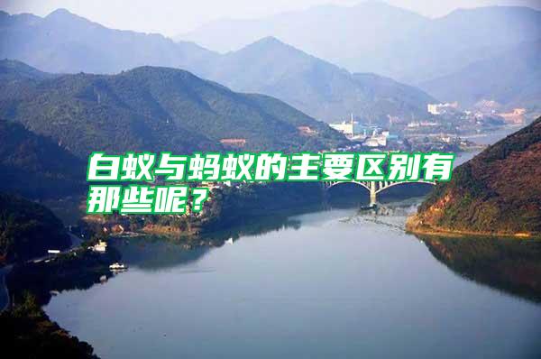 白蟻與螞蟻的主要區(qū)別有那些呢?