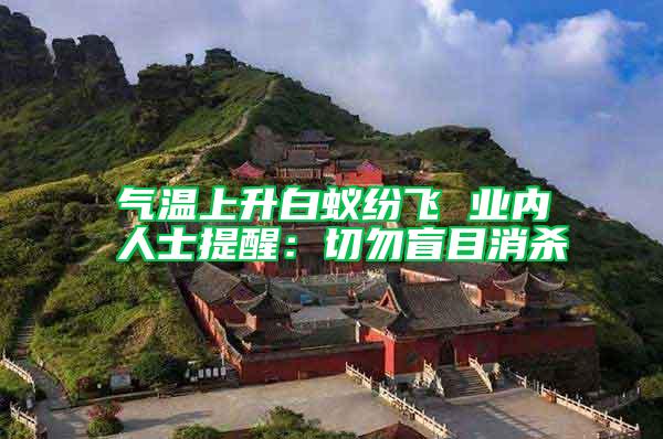 氣溫上升白蟻紛飛 業內人士提醒:切勿盲目消殺