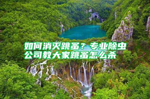 如何消滅跳蚤？專業除蟲公司教大家跳蚤怎么殺
