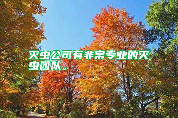 滅蟲公司有非常專業(yè)的滅蟲團隊。