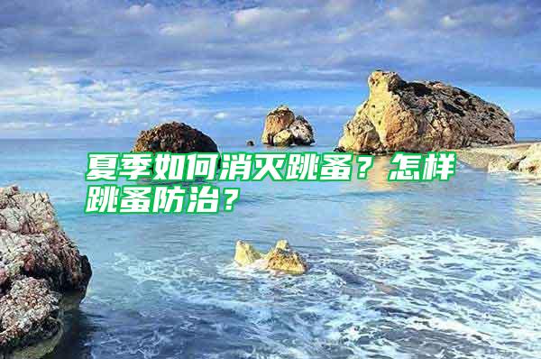 夏季如何消滅跳蚤?怎樣跳蚤防治?