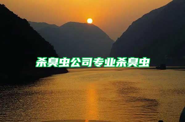 殺臭蟲公司專業殺臭蟲