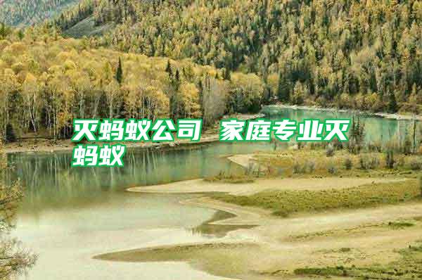 滅螞蟻公司 家庭專業滅螞蟻