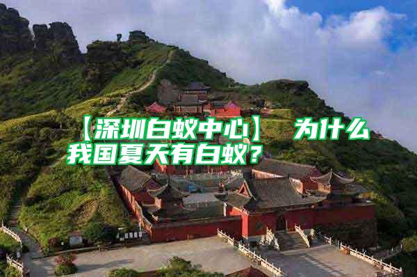 【深圳白蟻中心】 為什么我國夏天有白蟻?