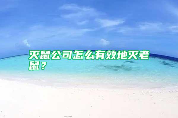 滅鼠公司怎么有效地滅老鼠？
