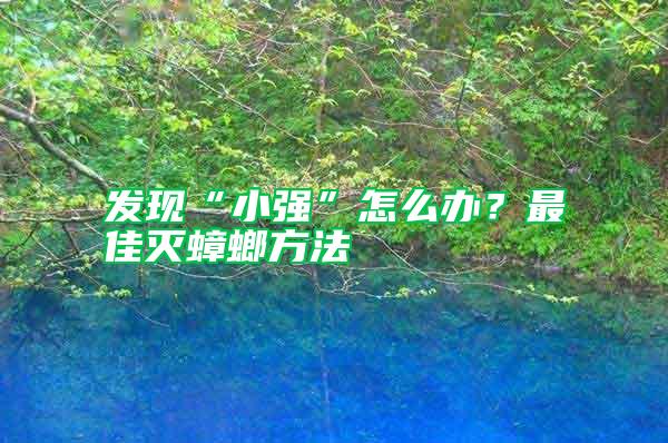發現“小強”怎么辦？最佳滅蟑螂方法