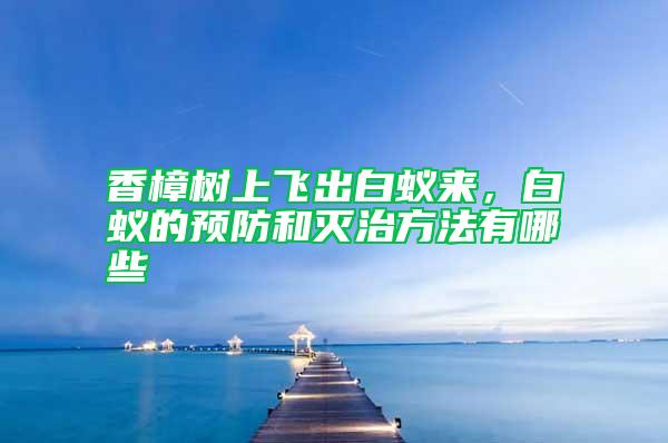 香樟樹上飛出白蟻來，白蟻的預防和滅治方法有哪些