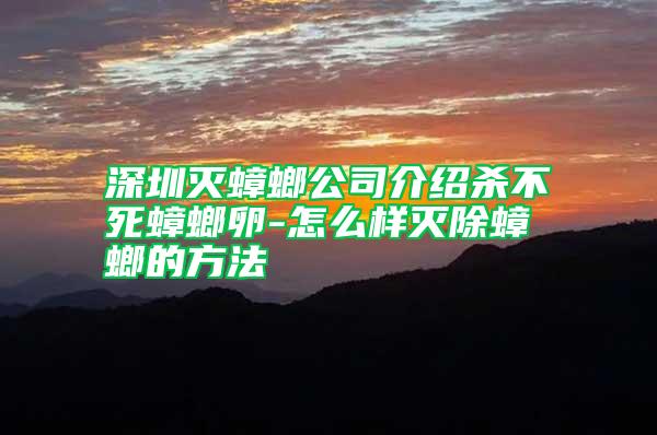 深圳滅蟑螂公司介紹殺不死蟑螂卵-怎么樣滅除蟑螂的方法