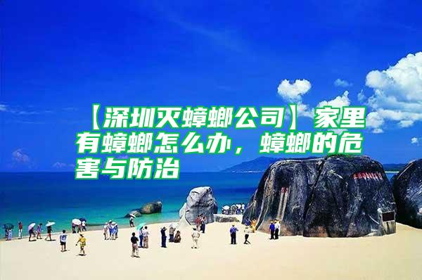 【深圳滅蟑螂公司】家里有蟑螂怎么辦,蟑螂的危害與防治