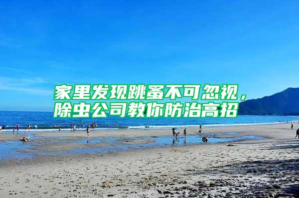 家里發現跳蚤不可忽視，除蟲公司教你防治高招