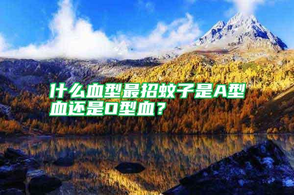 什么血型最招蚊子是A型血還是O型血?