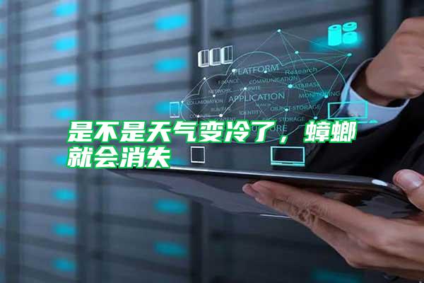 是不是天氣變冷了，蟑螂就會消失