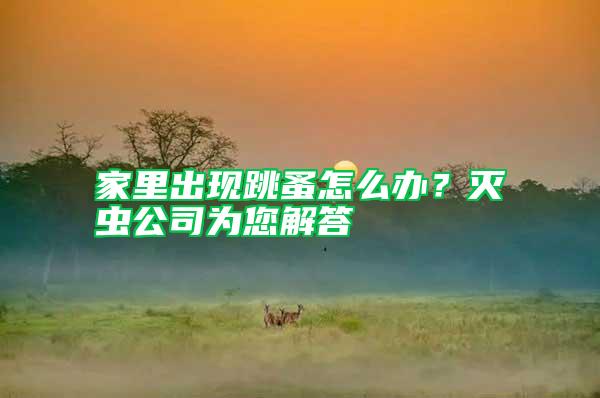 家里出現(xiàn)跳蚤怎么辦？滅蟲公司為您解答