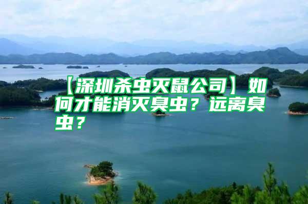 【深圳殺蟲滅鼠公司】如何才能消滅臭蟲？遠(yuǎn)離臭蟲？