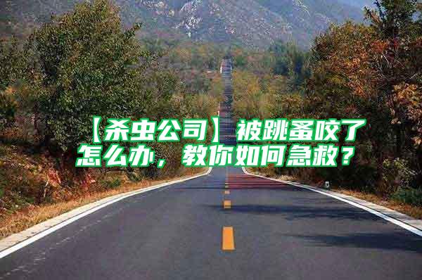 【殺蟲公司】被跳蚤咬了怎么辦，教你如何急救？