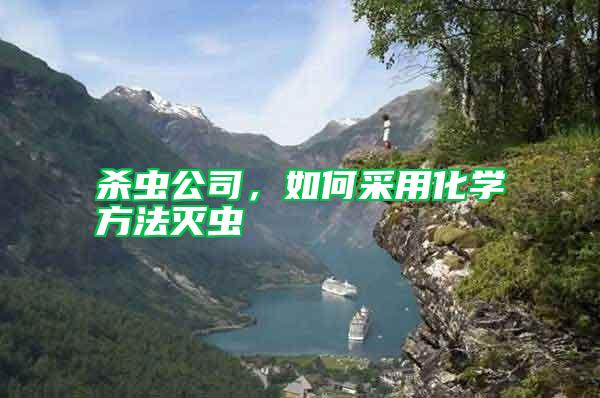 殺蟲公司，如何采用化學方法滅蟲