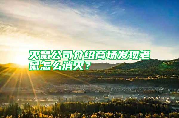 滅鼠公司介紹商場發現老鼠怎么消滅？