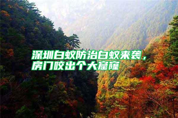 深圳白蟻防治白蟻來襲,房門咬出個大窟窿