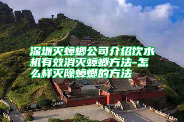 深圳滅蟑螂公司介紹飲水機(jī)有效消滅蟑螂方法-怎么樣滅除蟑螂的方法