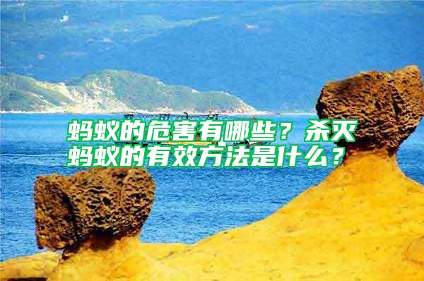 螞蟻的危害有哪些？殺滅螞蟻的有效方法是什么？