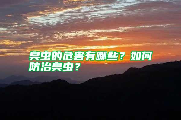 臭蟲的危害有哪些?如何防治臭蟲?