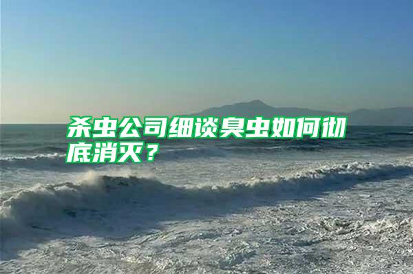 殺蟲公司細談臭蟲如何徹底消滅?