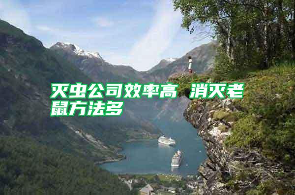 滅蟲公司效率高 消滅老鼠方法多