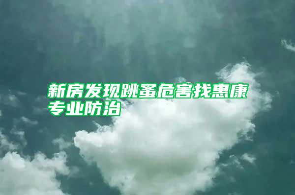新房發(fā)現(xiàn)跳蚤危害找惠康專(zhuān)業(yè)防治
