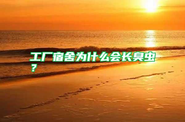 工廠宿舍為什么會長臭蟲？